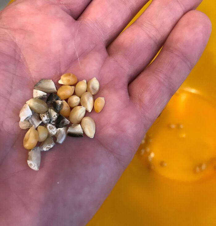 65 Times People Were So Appalled By Their Siblings, They Questioned If They Really Had The Same Parents (New Pics) 65 Times People Were So Appalled By Their Siblings, They Questioned If They Really Had The Same Parents (New Pics)