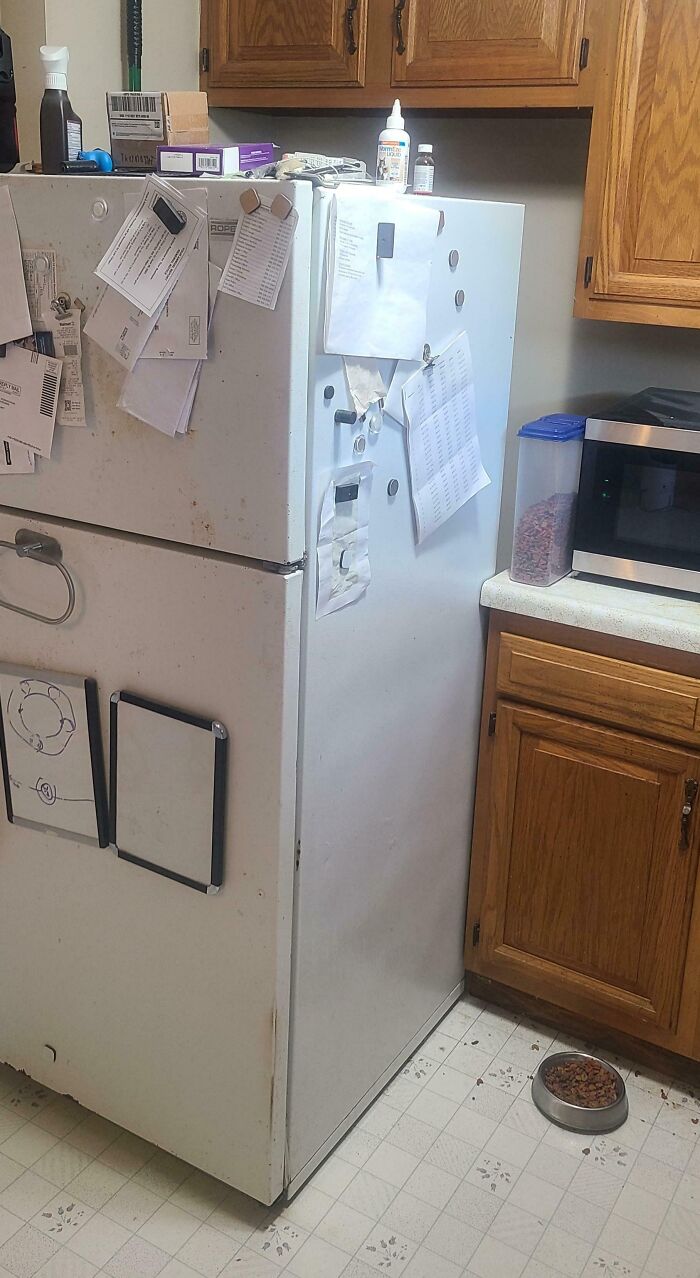 65 Times People Were So Appalled By Their Siblings, They Questioned If They Really Had The Same Parents (New Pics) 65 Times People Were So Appalled By Their Siblings, They Questioned If They Really Had The Same Parents (New Pics)