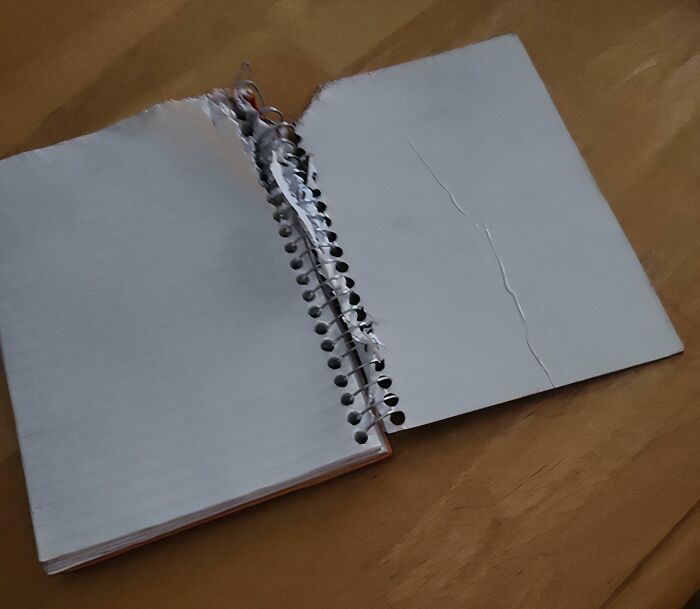 65 Times People Were So Appalled By Their Siblings, They Questioned If They Really Had The Same Parents (New Pics) 65 Times People Were So Appalled By Their Siblings, They Questioned If They Really Had The Same Parents (New Pics)