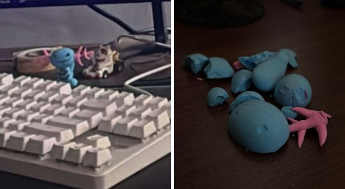 65 Times People Were So Appalled By Their Siblings, They Questioned If They Really Had The Same Parents (New Pics) 65 Times People Were So Appalled By Their Siblings, They Questioned If They Really Had The Same Parents (New Pics)