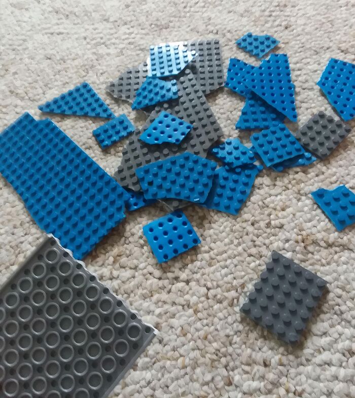 65 Times People Were So Appalled By Their Siblings, They Questioned If They Really Had The Same Parents (New Pics) 65 Times People Were So Appalled By Their Siblings, They Questioned If They Really Had The Same Parents (New Pics)