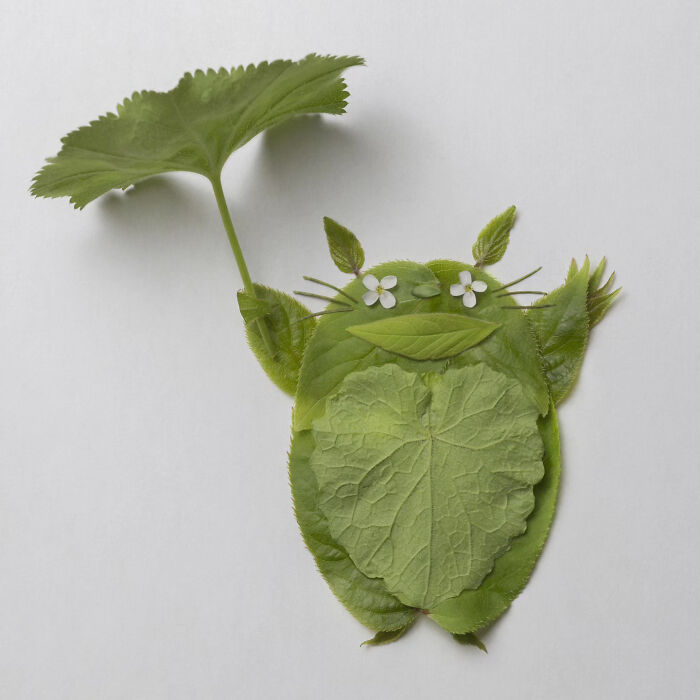 30 Extraordinary Artists Who Are Redefining Creativity In The Most Unexpected Ways, As Shared By ‘My Modern Met’