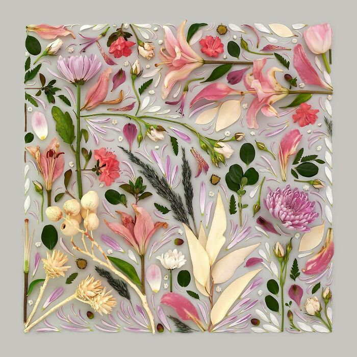 30 Extraordinary Artists Who Are Redefining Creativity In The Most Unexpected Ways, As Shared By ‘My Modern Met’