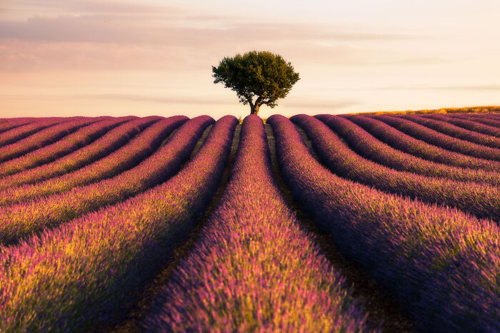 Mads Peter Iversen Captured 48 Landscape Photos That Feel Like Scenes From A Fantasy Film