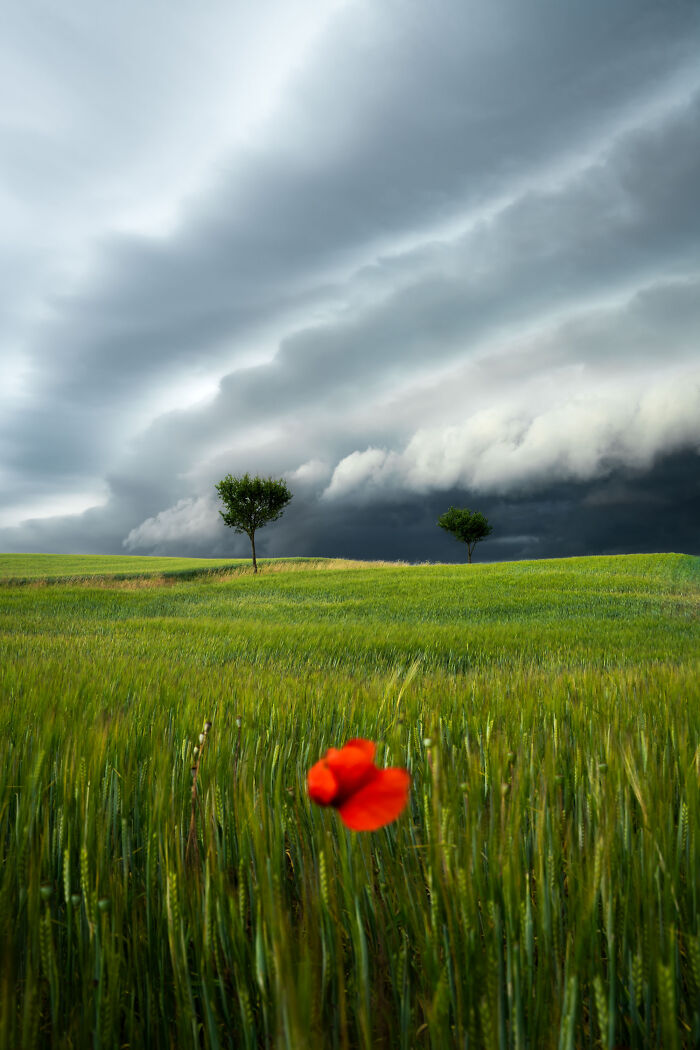 Mads Peter Iversen Captured 48 Landscape Photos That Feel Like Scenes From A Fantasy Film