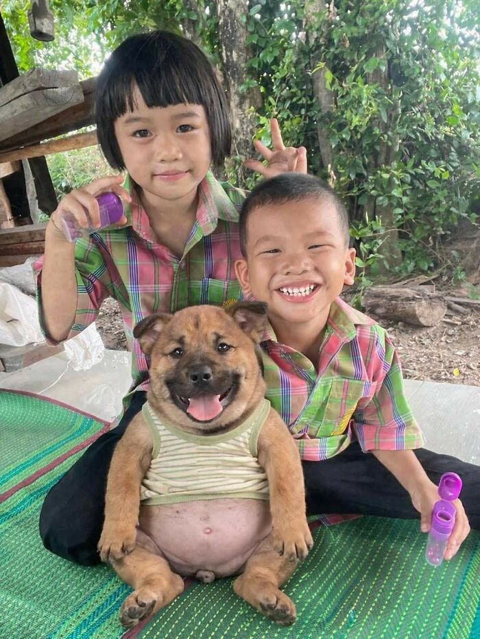 33 Hilarious Moments Caught On Camera, As Shared By “Important Animal Images” (New Pics) 33 Hilarious Moments Caught On Camera, As Shared By “Important Animal Images” (New Pics)