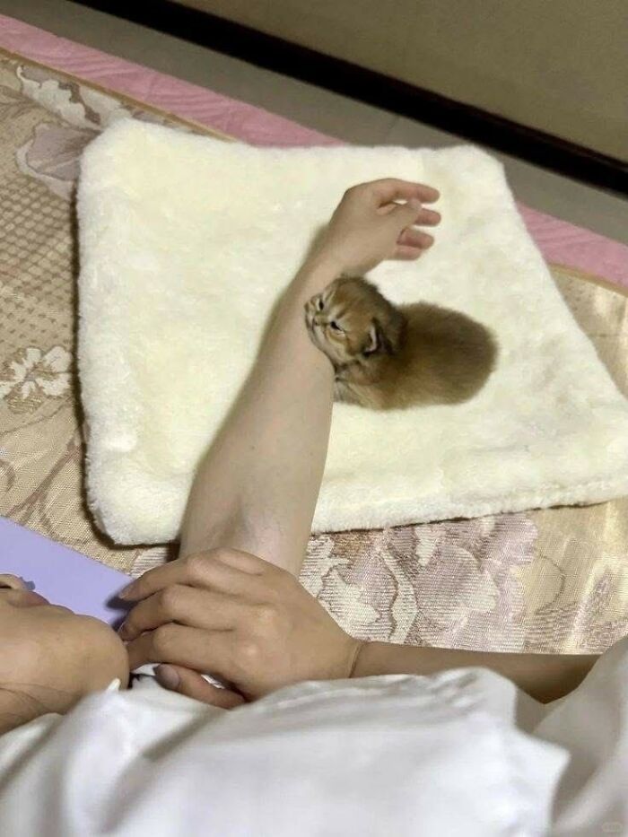 33 Hilarious Moments Caught On Camera, As Shared By “Important Animal Images” (New Pics) 33 Hilarious Moments Caught On Camera, As Shared By “Important Animal Images” (New Pics)