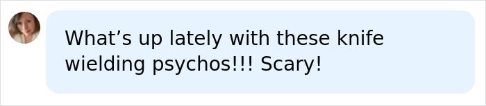 Police Fatally Take Down Woman Slashing At Toddler With A Knife After Kidnapping Him From Walmart