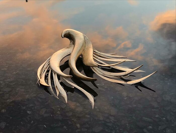 Artist Made 60 Sculptures That Look Like They Stepped Out Of Forgotten Forest Legends