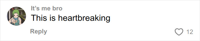 FedEx Driver&rsquo;s Chilling Searches About His Delivery Truck Emerge After Taking Life Of Athena Strand
