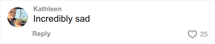 FedEx Driver&rsquo;s Chilling Searches About His Delivery Truck Emerge After Taking Life Of Athena Strand