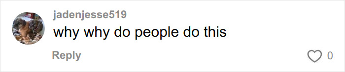 FedEx Driver&rsquo;s Chilling Searches About His Delivery Truck Emerge After Taking Life Of Athena Strand