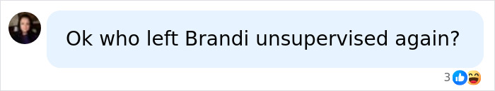 Brandi Glanville Rushed To Urgent Care After Trying Dangerous TikTok Medical Trend