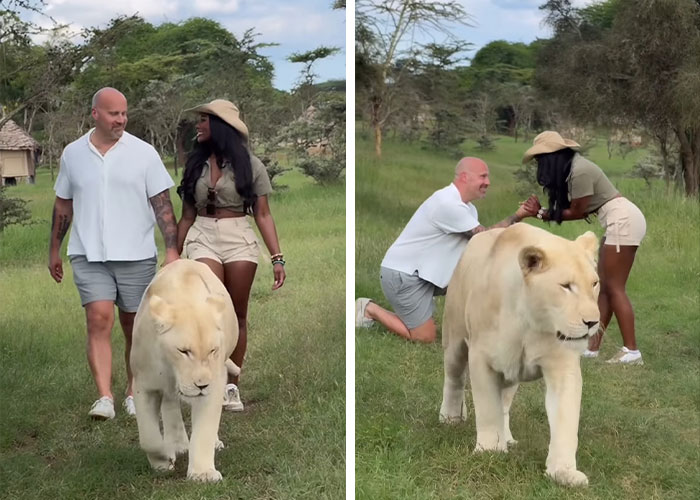 &ldquo;We Need Answers Now&rdquo;: Influencer&rsquo;s Fianc&eacute; Questioned Hours After Explosive Fight Before Her Passing