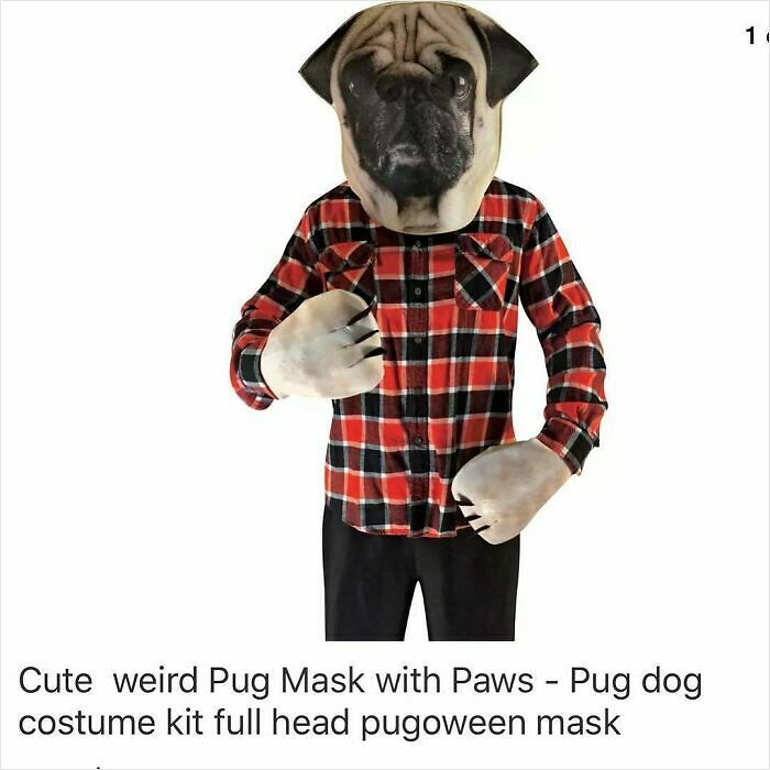 69 Times People Couldn&rsquo;t Believe Their Eyes While Shopping On Wish