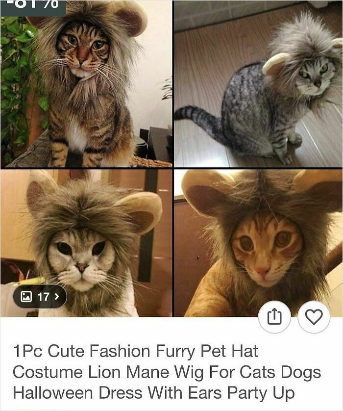 69 Times People Couldn&rsquo;t Believe Their Eyes While Shopping On Wish