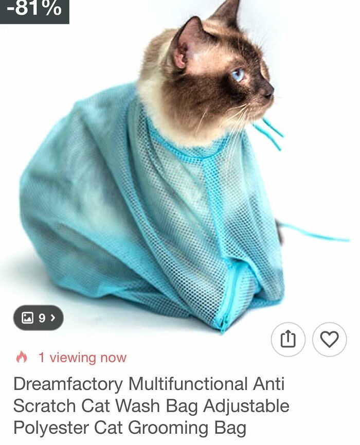 69 Times People Couldn&rsquo;t Believe Their Eyes While Shopping On Wish