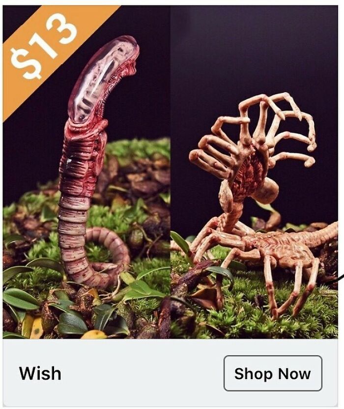 69 Times People Couldn&rsquo;t Believe Their Eyes While Shopping On Wish