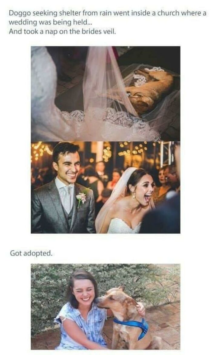 49 Heartwarming Posts That Might Inject Some Much-Needed Positivity Into Your Life