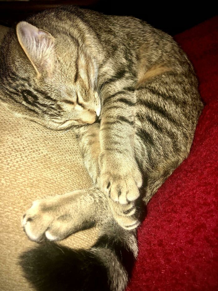 49 Heartwarming Posts That Might Inject Some Much-Needed Positivity Into Your Life