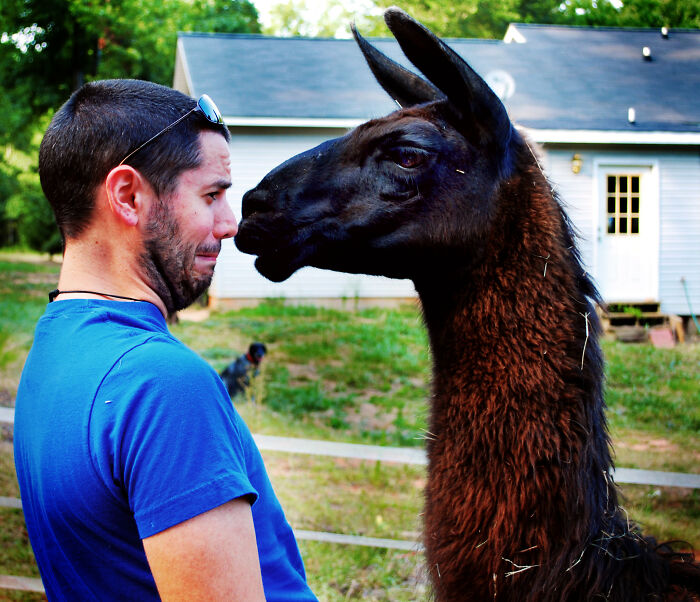 61 Times Karma Turned The Tables In The Most Satisfying Way