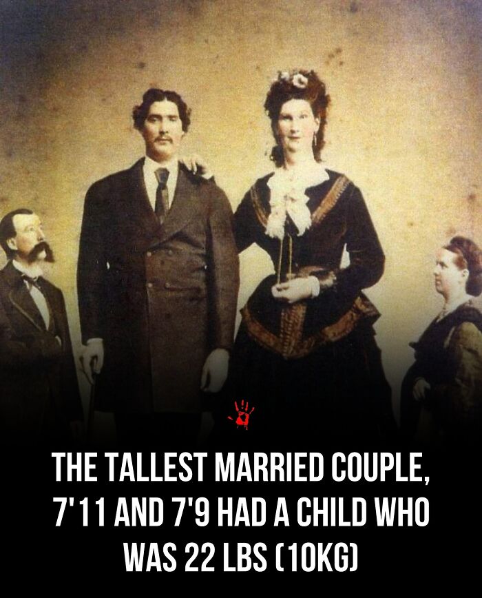 “Her Fate Remains A Mystery”: 94 People Share Creepy And Mysterious Things They Lose Sleep Over