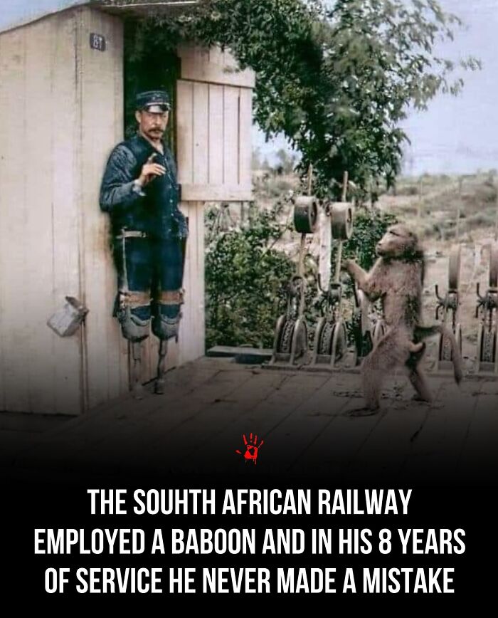 “Her Fate Remains A Mystery”: 94 People Share Creepy And Mysterious Things They Lose Sleep Over