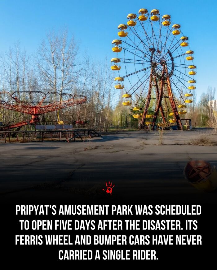 “Her Fate Remains A Mystery”: 94 People Share Creepy And Mysterious Things They Lose Sleep Over