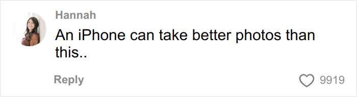 Woman Shares Horrible Engagement Photos She Paid $725 For, Photographer’s Excuse Leaves People Baffled