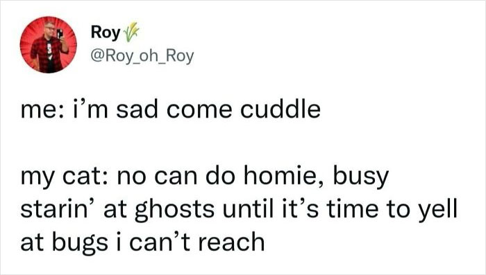 59 Hilariously Relatable Memes From People Who Gave Up On Life, But Not On Humor (New Pics)