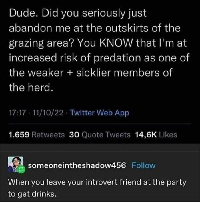 59 Hilariously Relatable Memes From People Who Gave Up On Life, But Not On Humor (New Pics)