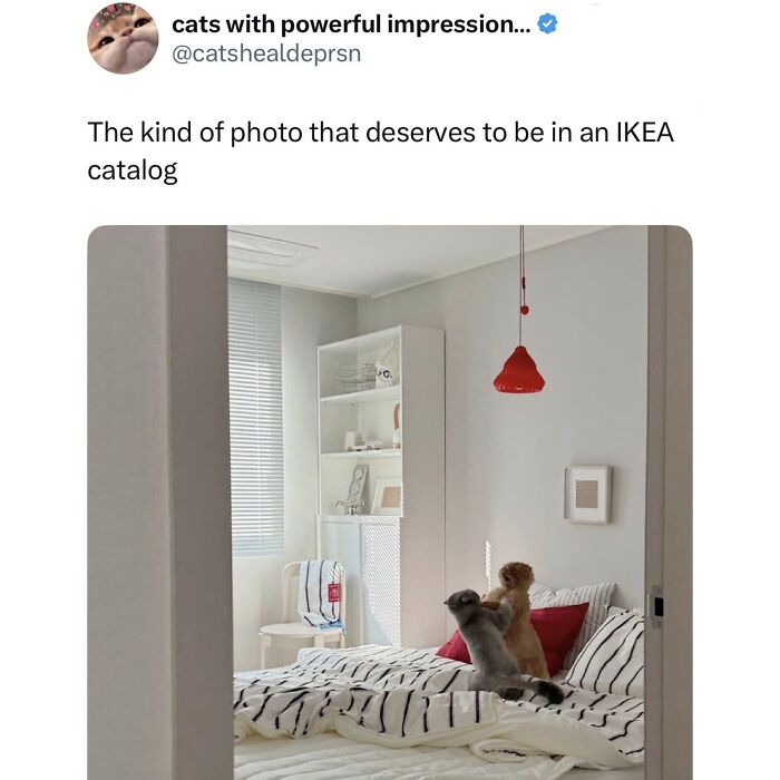 59 Hilariously Relatable Memes From People Who Gave Up On Life, But Not On Humor (New Pics)