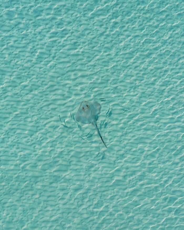 This Photographer Turns Buildings, Windows, And Empty Space Into 55 Mesmerizing Minimalist Scenes