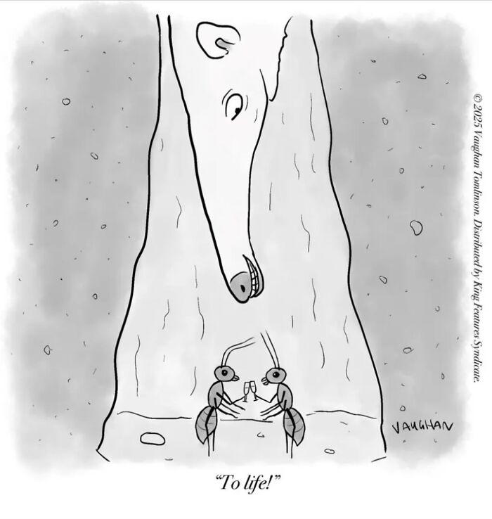 40 New Comics By Vaughan Tomlinson That Capture Relatable Moments In Modern Life