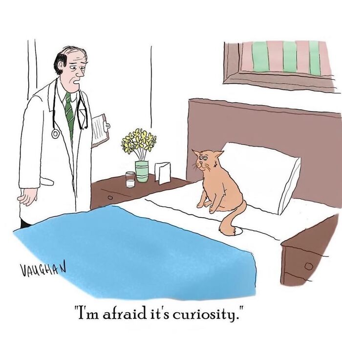 40 New Comics By Vaughan Tomlinson That Capture Relatable Moments In Modern Life