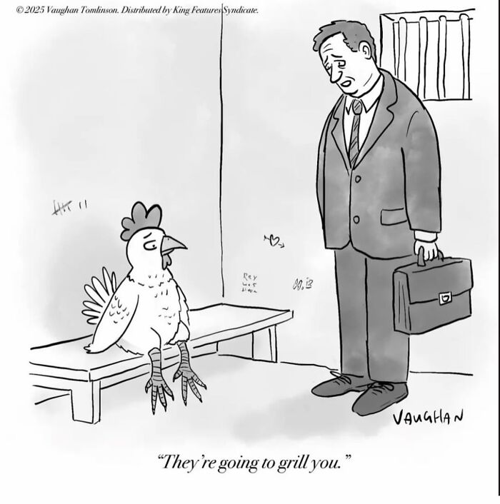 40 New Comics By Vaughan Tomlinson That Capture Relatable Moments In Modern Life