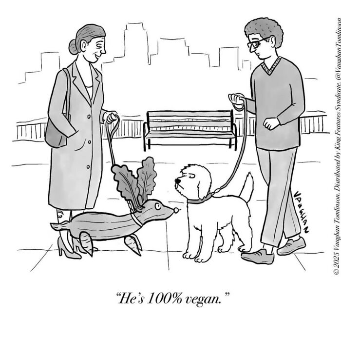 40 New Comics By Vaughan Tomlinson That Capture Relatable Moments In Modern Life