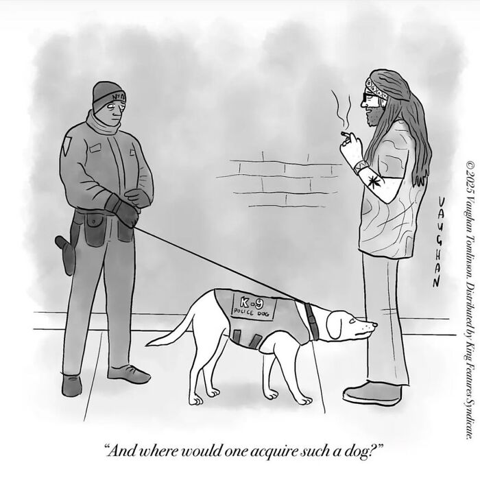 40 New Comics By Vaughan Tomlinson That Capture Relatable Moments In Modern Life