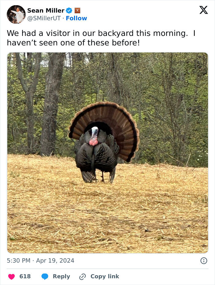 58 Wild And Wholesome Animal Encounters That Took People By Surprise