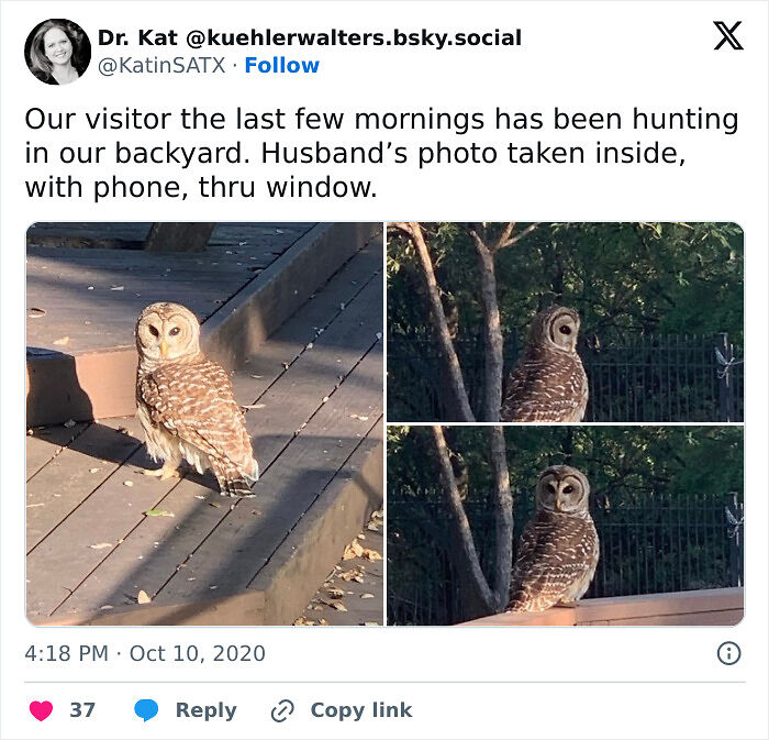 58 Wild And Wholesome Animal Encounters That Took People By Surprise