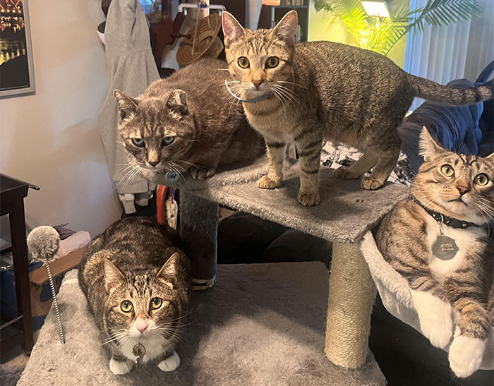 &ldquo;Don&rsquo;t Tell My Wife&rdquo;: 55 Hotel Workers Share Guest Stories That Left Them Absolutely Speechless