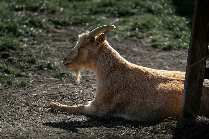 &ldquo;Don&rsquo;t Tell My Wife&rdquo;: 55 Hotel Workers Share Guest Stories That Left Them Absolutely Speechless