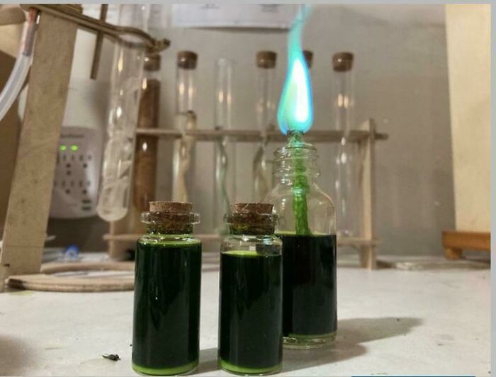 110 People Who Took A Hobby To Another Level And Made Something Really Cool