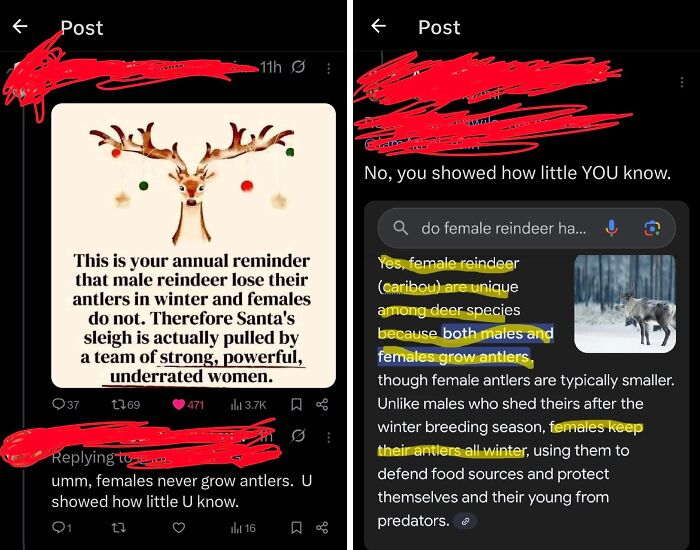 &ldquo;Are You Sure You Graduated?&rdquo;: 61 Times People Were 100% Sure And 100% Wrong At The Same Time