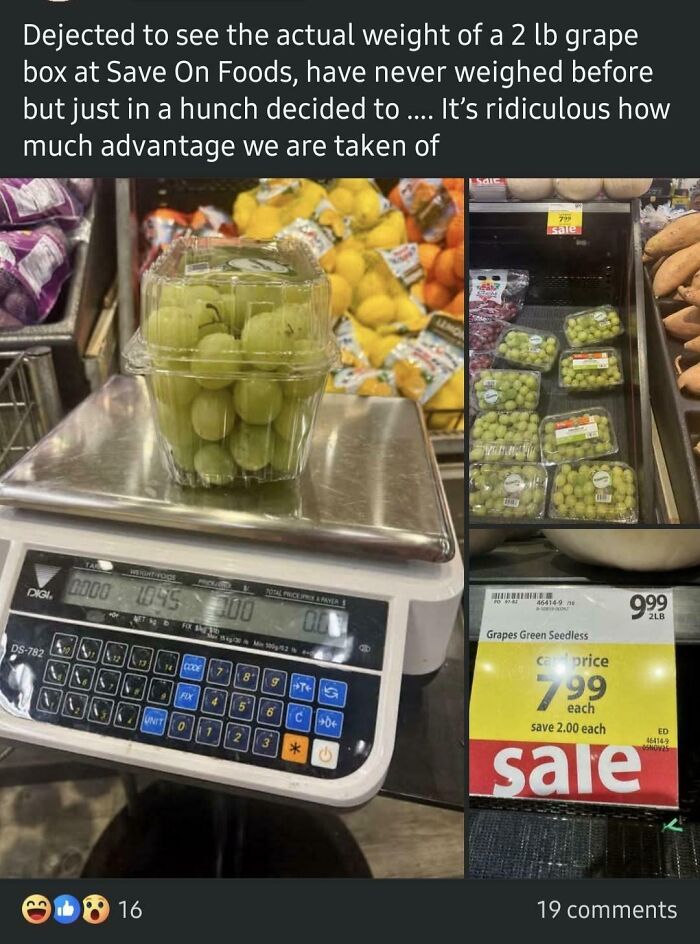 &ldquo;Are You Sure You Graduated?&rdquo;: 61 Times People Were 100% Sure And 100% Wrong At The Same Time