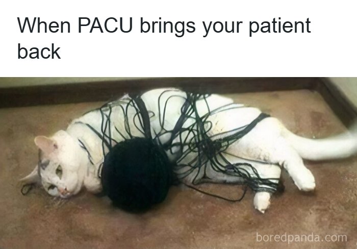 65 Funny Healthcare Memes To Inject A Dose Of Laughter Into Your Otherwise Boring Day