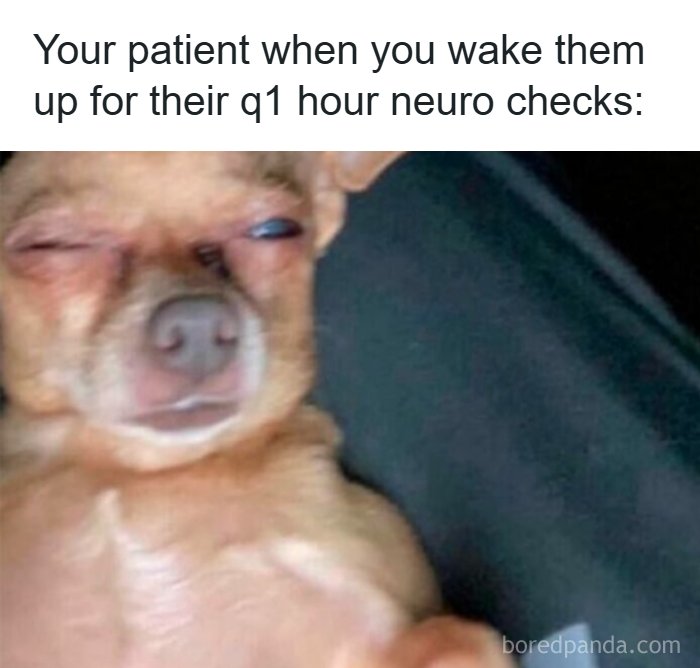 65 Funny Healthcare Memes To Inject A Dose Of Laughter Into Your Otherwise Boring Day