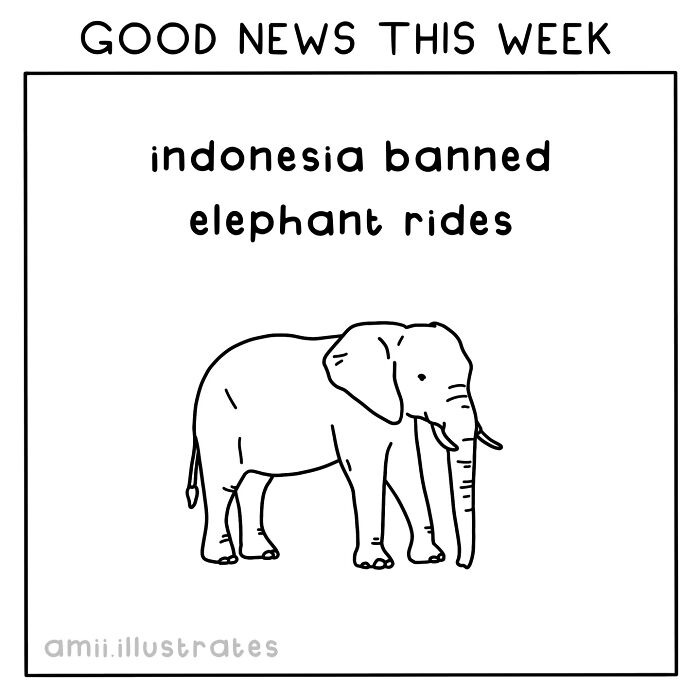 30 Funny Comics With A Subtle Dark Twist By Amii James (New Pics)