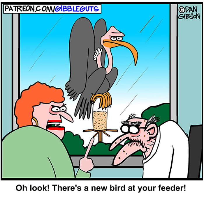 43 New One-Panel Comics About Aging, Drawn By Dan Gibson