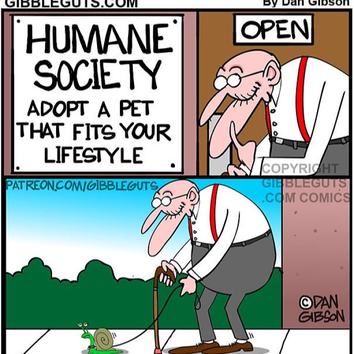 43 New One-Panel Comics About Aging, Drawn By Dan Gibson